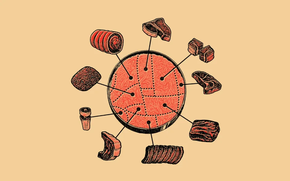 Everything You Need To Know About Lab Grown Meat