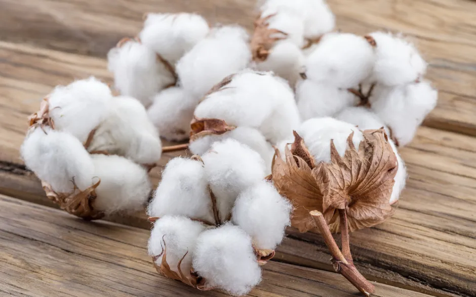 The Batteries Built From Cotton
